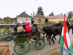 tapszuret19_74_20191012